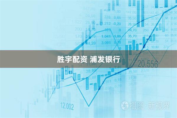 胜宇配资 浦发银行