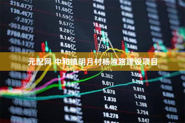 元配网 中和镇明月村杨凉路建设项目
