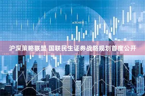 沪深策略联盟 国联民生证券战略规划首度公开
