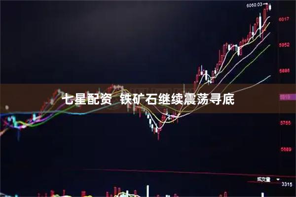 七星配资  铁矿石继续震荡寻底