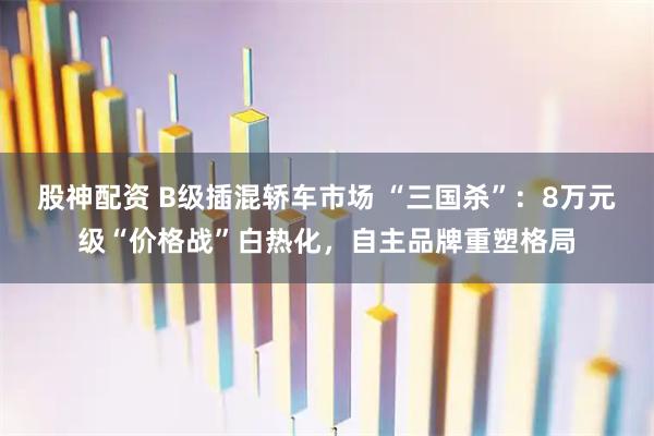 股神配资 B级插混轿车市场 “三国杀”：8万元级“价格战”白热化，自主品牌重塑格局
