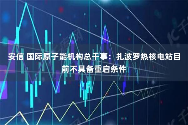 安信 国际原子能机构总干事：扎波罗热核电站目前不具备重启条件