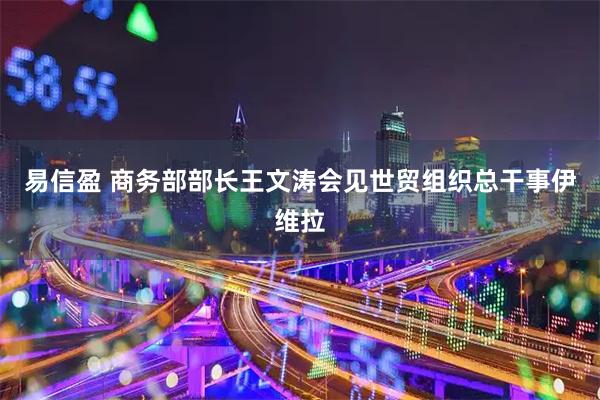 易信盈 商务部部长王文涛会见世贸组织总干事伊维拉