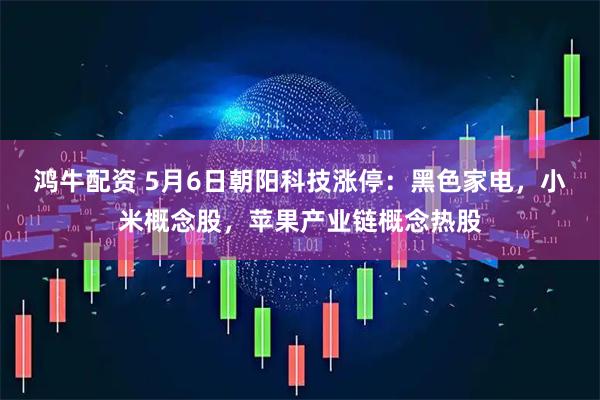 鸿牛配资 5月6日朝阳科技涨停：黑色家电，小米概念股，苹果产业链概念热股