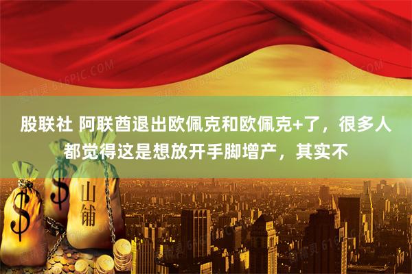 股联社 阿联酋退出欧佩克和欧佩克+了,很多人都觉得这是想放开手脚增产,其实不